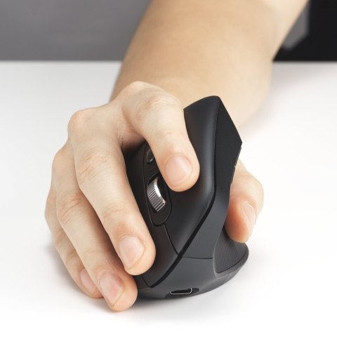 Kensington Pro Fit Ergo MY630 EQ myszka Biuro Po prawej stronie RF Wireless + Bluetooth + USB Type-A 2400 DPI