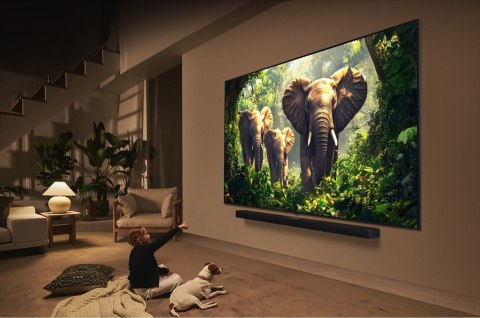 LG QNED 65QNED87A3B Telewizor 165,1 cm (65") 4K Ultra HD Smart TV Wi-Fi Czarny