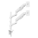 ERGO OFFICE UCHWYT NA 2 MONITORY, SPRĘŻYNA GAZOWA, 17"-32", 1-10KG, BIAŁY MAT ER-692 W