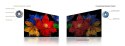 Telewizor 43" TCL 43S59K