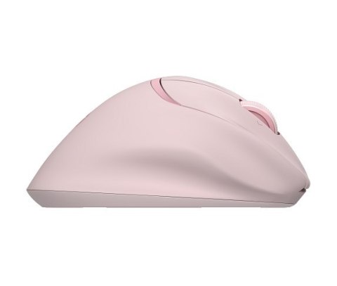 Mysz HP Tilt Ergonomic Pink Mouse 720M Wireless / Bluetooth bezprzewodowa różowa BH7N4AA