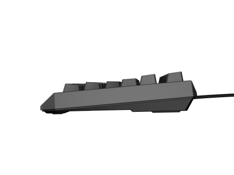 GENESIS Thor 230 TKL klawiatura Gaming USB QWERTY Czeski, Słowacki Czarny