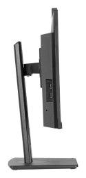 Monitor Iiyama TFT XUB2490HSUH IPS 24''//HDMI/DP/USB/Webcam/hoev - Płaski ekran - 60,5 cm