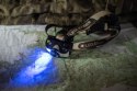 Latarka Ledlenser MH 8 Black-Black