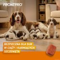 FRONTPRO Tabletki na pchły i kleszcze dla psa (>10-25 kg) - 3x 68mg