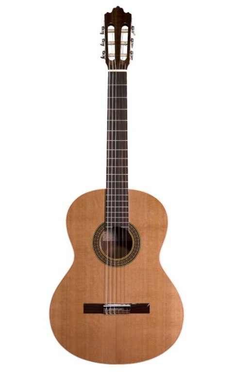 Prodipe Guitars Recital 200 4/4 - gitara klasyczna