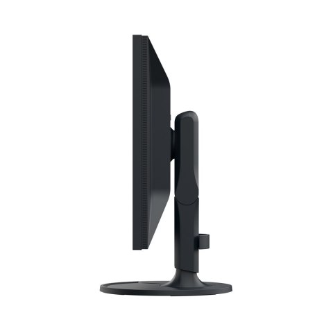 Monitor EIZO ColorEdge CS2400R - 61,2 cm (24,1") - 1920 x 1200 pikseli - WUXGA - LCD - 14 ms