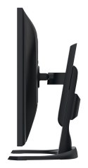 Monitor EIZO FlexScan EV3240X-BK - 80 cm (31.5") - 3840 x 2160 pikseli - 4K Ultra HD - LED - 5 ms