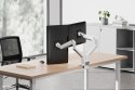 Neomounts DS70-250WH2 uchwyt / stojak do monitorów 81,3 cm (32") Biurko Biały