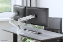 Neomounts DS70S-950WH2 uchwyt / stojak do monitorów 88,9 cm (35") Biurko Biały