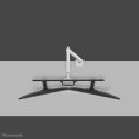 Neomounts DS75S-950WH2 uchwyt / stojak do monitorów 81,3 cm (32") Biurko Biały