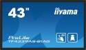 Monitor iiyama ProLite TF4339AS-B1AG - 43" - Płaski ekran - 108 cm