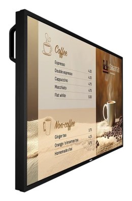 PHILIPS P-Line 43BDL6017P 109,2cm(43