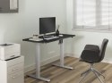 Wyposażenie biurka w pojedynczy silnik elektryczny 70Kg gr lite Handel detaliczny (Spedytor)