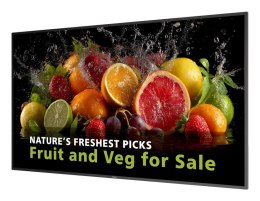 Philips 5000 series 75BDL5050D/00 signage display 190,5 cm (75