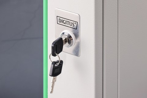 Szafa sieciowa wisząca DYNAmic 19" 9U rack 600x600, drzwi szyba, szary, niedzielona, złożona, 60kg