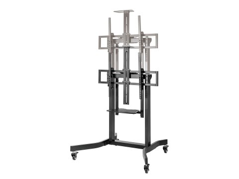Uchwyt na stojak podłogowy Equip 55-100"/1TFT 120kg 1Półka lite Sprzedaż detaliczna (650633)