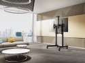 Uchwyt na stojak podłogowy Equip 55-100"/1TFT 120kg 1Półka lite Sprzedaż detaliczna (650633)