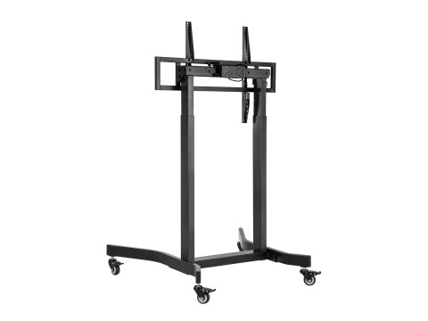 Uchwyt na stojak podłogowy Equip 55-100"/1TFT 120kg lite Sprzedaż detaliczna (650632)