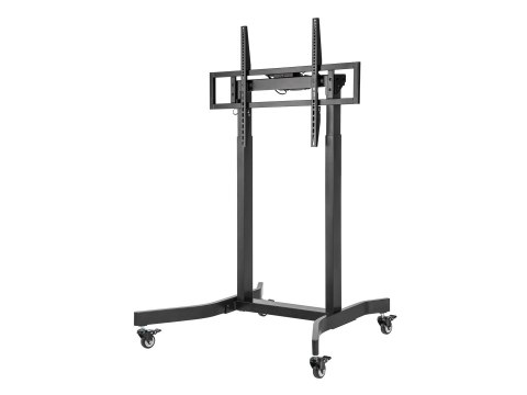 Uchwyt na stojak podłogowy Equip 55-100"/1TFT 120kg lite Sprzedaż detaliczna (650632)