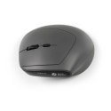 BakkerElkhuizen MidWay myszka Biuro Po prawej stronie RF Wireless + Bluetooth + USB Type-C Optyczny 2400 DPI