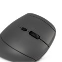 BakkerElkhuizen MidWay myszka Biuro Po prawej stronie RF Wireless + Bluetooth + USB Type-C Optyczny 2400 DPI