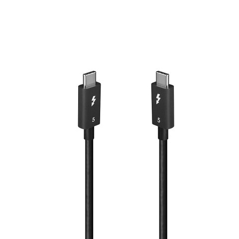Lindy 31130 kabel Thunderbolt 1 m 80 Gbit/s Czarny