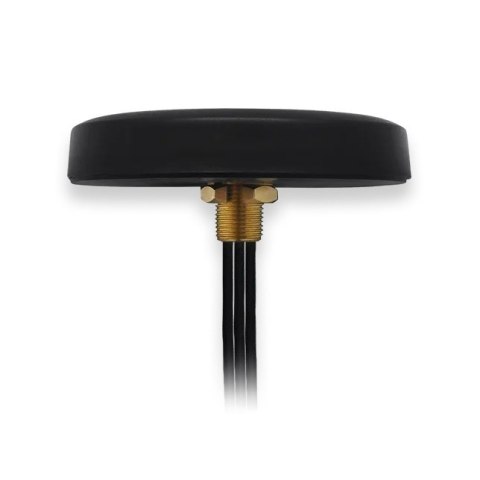 Teltonika PR1KCS28 antena SMA/RP-SMA 28 dBi
