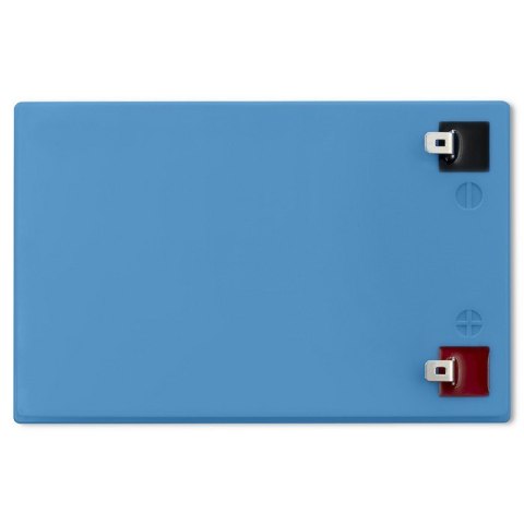 Akumulator Qoltec 53713 LiFePO4 10Ah 12.8V 12.8V Litowo-Żelazowo-Fosforanowy BMS