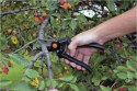 Fiskars 111960 Nożyce ogrodowe Bypass Czarny