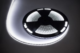 Sznur diodowy Rebel LED0171-2 25m (1500x5050 SMD) zimny biały, wodoodporny, 12V