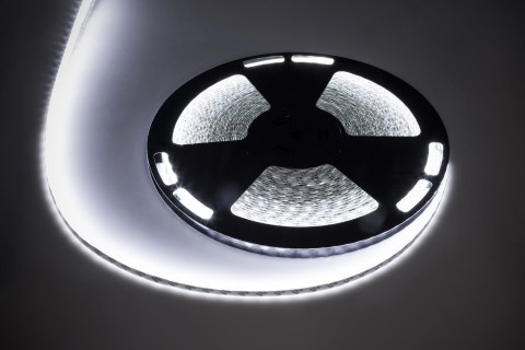 Sznur diodowy Rebel LED0171-2 25m (1500x5050 SMD) zimny biały, wodoodporny, 12V