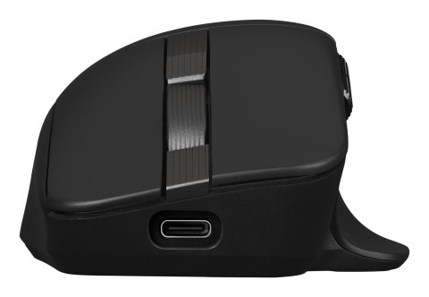 ASUS ProArt Mouse MD301 myszka Uniwersalne Po prawej stronie RF Wireless + Bluetooth + USB Type-A Optyczny 8000 DPI