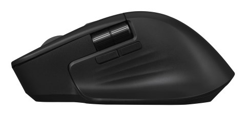 ASUS ProArt Mouse MD301 myszka Uniwersalne Po prawej stronie RF Wireless + Bluetooth + USB Type-A Optyczny 8000 DPI