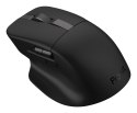 ASUS ProArt Mouse MD301 myszka Uniwersalne Po prawej stronie RF Wireless + Bluetooth + USB Type-A Optyczny 8000 DPI