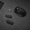ASUS ProArt Mouse MD301 myszka Uniwersalne Po prawej stronie RF Wireless + Bluetooth + USB Type-A Optyczny 8000 DPI