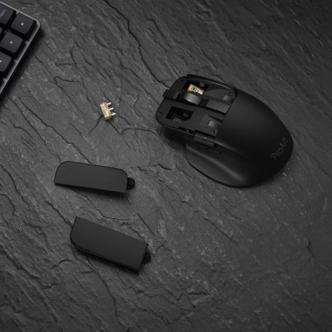 ASUS ProArt Mouse MD301 myszka Uniwersalne Po prawej stronie RF Wireless + Bluetooth + USB Type-A Optyczny 8000 DPI