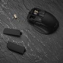 ASUS ProArt Mouse MD301 myszka Uniwersalne Po prawej stronie RF Wireless + Bluetooth + USB Type-A Optyczny 8000 DPI