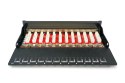 Digitus Panel krosowy desktop 12x RJ45, LSA poziom, kat.6A, ekranowany, czarny, prowadnica kabli