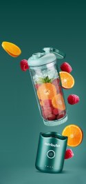 NutriBullet NBP013GR blender 0,59 l Przenośny mikser Zielony