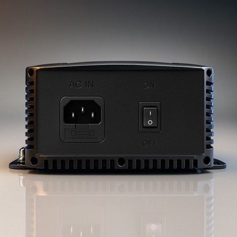 Ładowarka inteligentna Monolith do akumulatorów LiFePO4 AGM GEL SLA 20A 24V