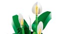 LEGO Botanical Collection 11504 - Skrzydłokwiat