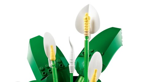 LEGO Botanical Collection 11504 - Skrzydłokwiat