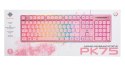 Deltaco Gaming GAM-021-RGB-P-DE klawiatura USB QWERTZ Niemiecki Różowy