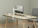 Equip 650166 uchwyt / stojak do monitorów 81,3 cm (32") Biurko Biały