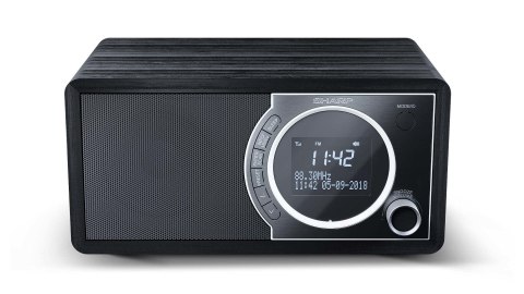 Osobisty cyfrowy czarny radio Sharp DR-450, stal nierdzewna