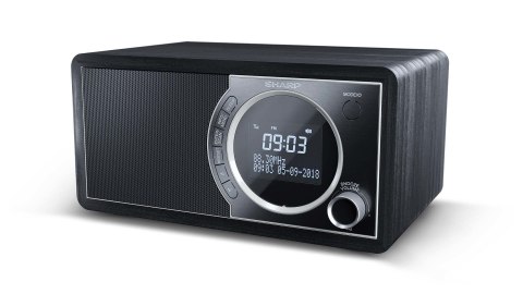 Osobisty cyfrowy czarny radio Sharp DR-450, stal nierdzewna