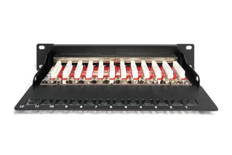 Digitus Panel krosowy (patch panel) 10'' 12x RJ45, LSA poziom, kat.6A, ekranowany, 1U, czarny, prowadnica kabli