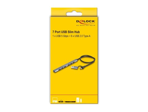 DeLOCK 64273 huby i koncentratory USB 3.2 Gen 1 (3.1 Gen 1) Type-C 5000 Mbit/s Szary