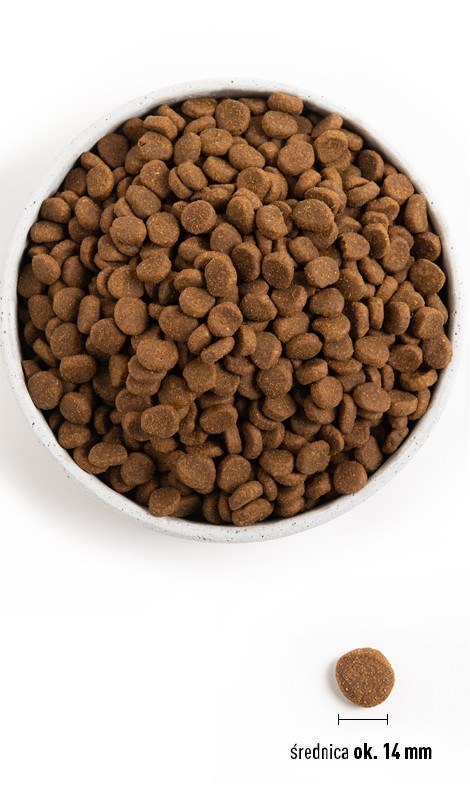ORIJEN Puppy 6kg